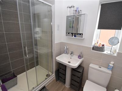Picture 20